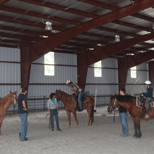 Equestrian Center 2