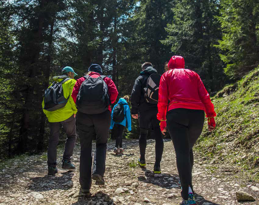 Zajac wellness retreats brochure split pages page 6